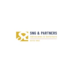 SNG & PARTNERS logo