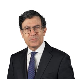 Patricio Prieto L