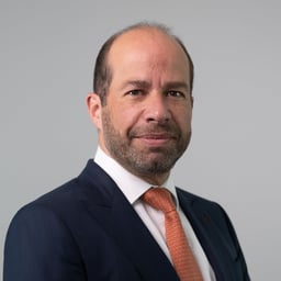 Hans Goebel