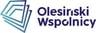 Olesinski & Wspolnicy logo