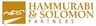 Hammurabi & Solomon Partners logo